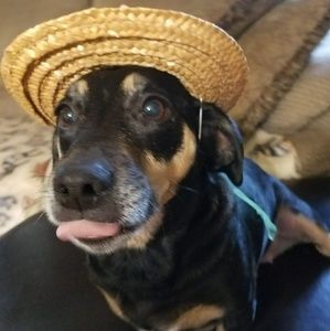 Meet your Posher, Molly lou